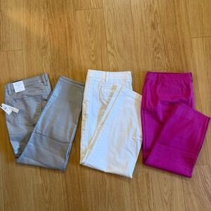 NEW Talbots Slim Ankle Jeans Womens 16P Silver Metallic Perfect Chino crops